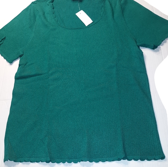 Ann Taylor LOFT Beautiful scallopped edge Short Sleeve Sweater Top☆ XL - Picture 8 of 13